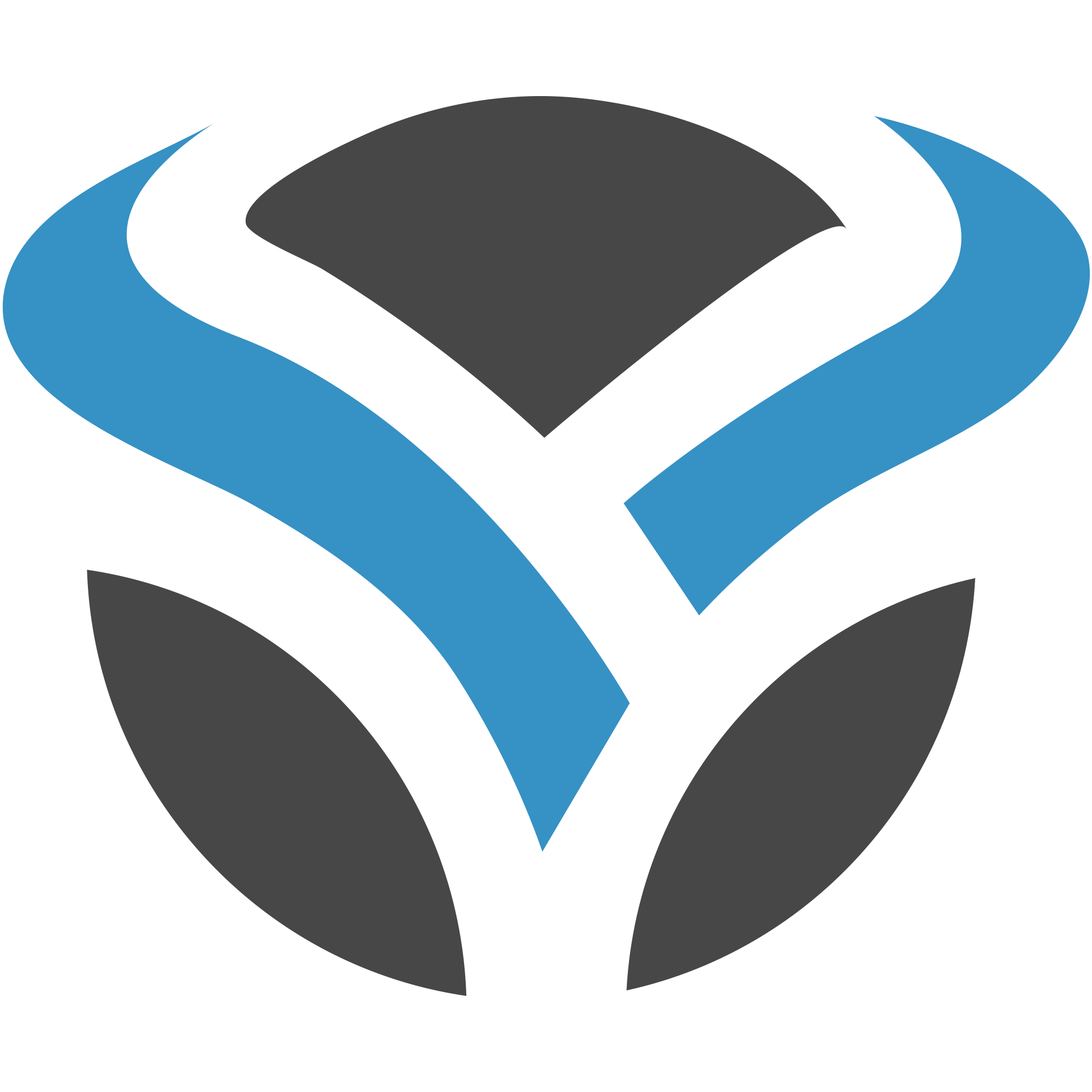 Ascamo Group